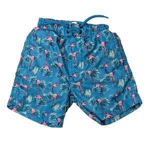 Beach Bros Boys Flamingo Swim Trunks Size 3T Blue Pink Tropical‎ Swim Shorts